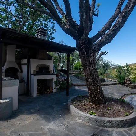 277 - Il Frantoio Della Marchesa - Giardino E Piscina Nel Di Διαμέρισμα