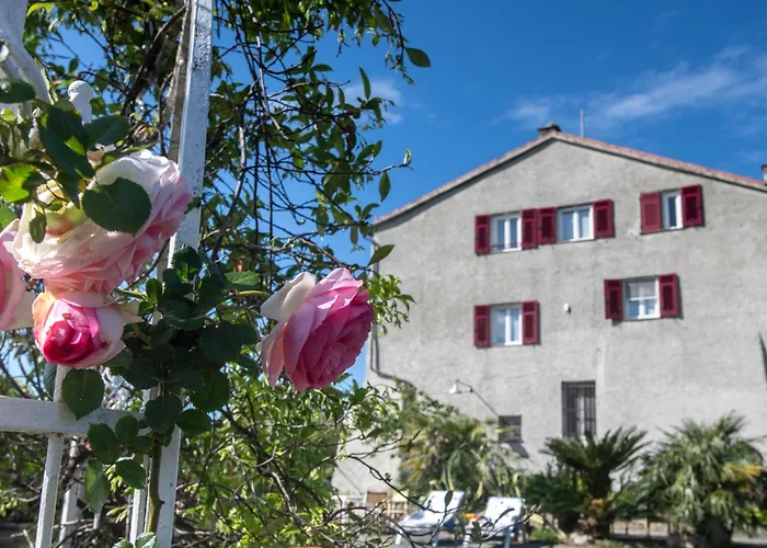 277 - Il Frantoio Della Marchesa - Giardino E Piscina Nel Di Appartement *